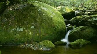 Roaring Fork Great Smoky Mountains National Park Wallpaper
