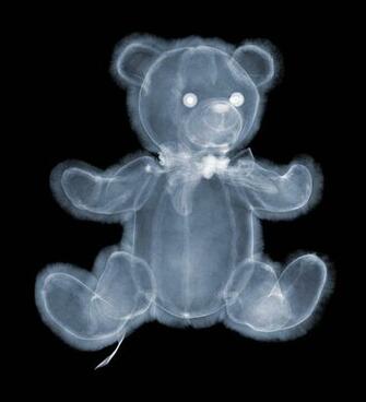 X Ray 3d Wallpaper