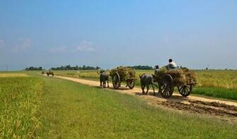 Bangladesh Wallpaper High Quality