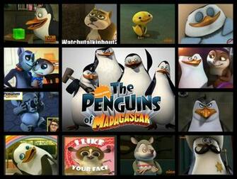 Los Ping Inos De Madagascar Im Genes Fave Pom Characters Collage