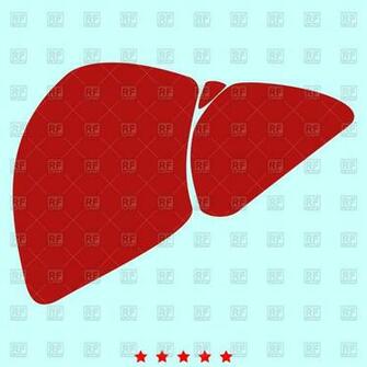 Liver Simple Icon On Cyan Background Vector Image Of Healthcare