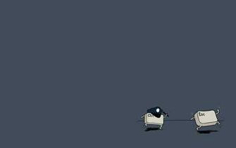 Funny Minimalist Wallpaper Ing And Fun