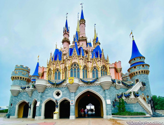 Our Gift To You Disney World Wallpaper From Dfb The
