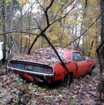 Abandoned Supercars Accidents Junkyard The Car Wallpaper