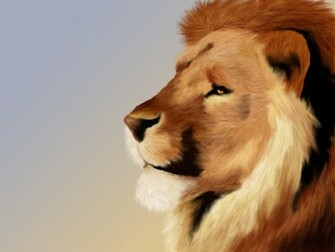 Aslan Wallpaper By Clemikinkajou