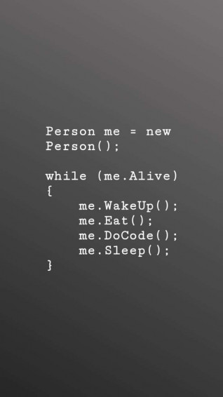 Funny Coding Wallpaper