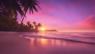 Tropical Beach Sunset Wallpaper