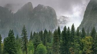 Category Nature HD Wallpaper Subcategory Rain