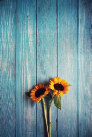 Yellow Wood Pictures Image