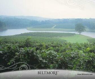 Biltmore Wallpaper