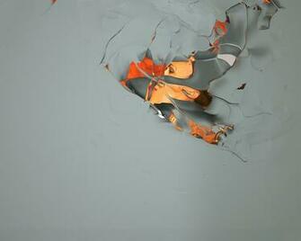 Wallpapere Grey Tapet Bucata Wallpaper