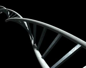 Double Helix By Dr Evil