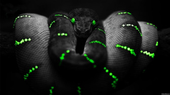 Gaming Pc Wallpaper
