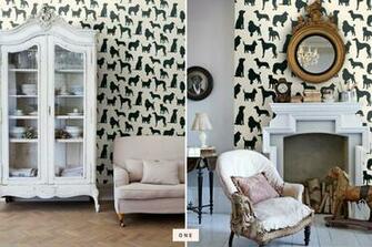 Trends Dog Wallpaper Decor Pretty Fluffy