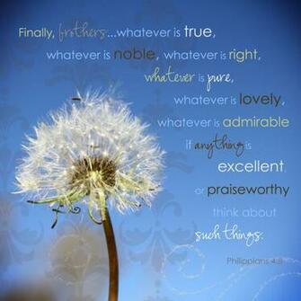 Philippians True And Noble Wallpaper Christian