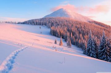 Winter Nature Ultra HD Desktop Background Wallpaper For