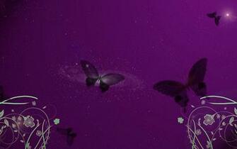 Purple Butterfly Wallpaper Vector Definition