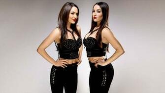 The Bella Twins Wwe Divas Photo Fanclubs Anny