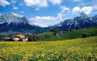 Nature High Quality Wallpaper Pictures Resolution Animal