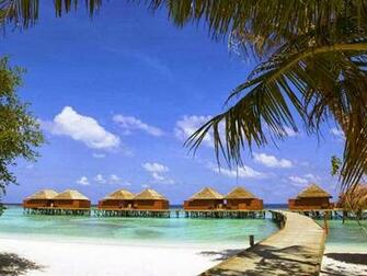 Beautiful Maldives Beach Island Natural Image Photos