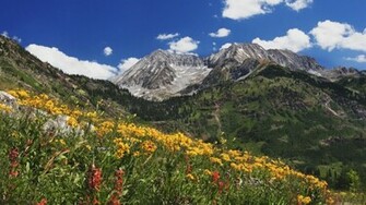 Spring HD Background For Desktop Wallpaper