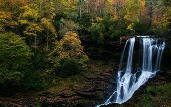 Forest Waterfall Wallpaper Blue HD Desktop