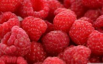 Raspberries Wallpaper Wallpaperexpert Journal