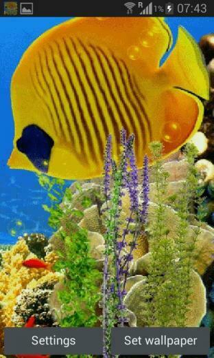 Water Live Wallpaper Android Newhairstylesformen2014