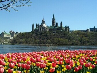 Best Desktop HD Wallpaper Spring