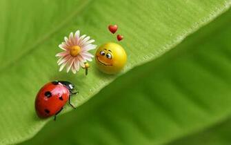 Ladybug And Smiley Face In Love Wallpaper