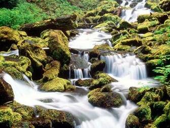 Three Sisters Wilderness Willamette National Forest Oregon Wallpaper