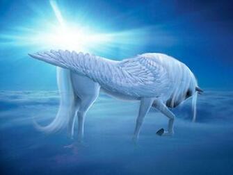 Pics Photos Pegasus Wallpaper