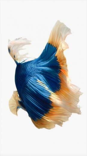 Apple iPhone 6s Plus