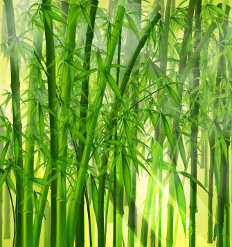 Bamboo Wallpaper For A Serene Environment