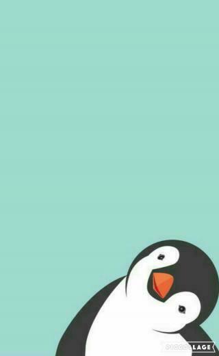Anabel M On Wallpaper Cute Penguins Collage