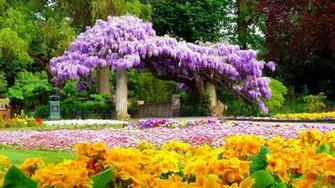 Wisteria Arch Wallpaper Hq Desktop
