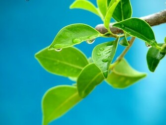 Spring Wallpaper For Kids