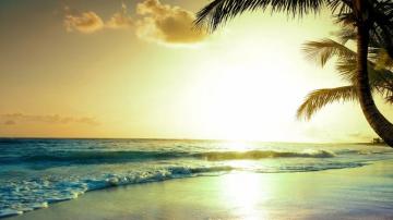 Wallpaper Tropical Beach 5k 4k Paradise Sunset