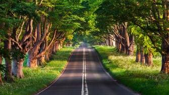 Road Grass 4k Ultra HD Amazing Wallpaper