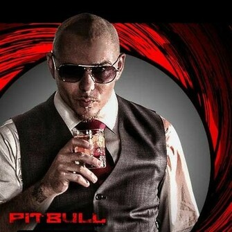 American Rapper Armando Christian Perez Pitbull Wallpaper HD Full Size