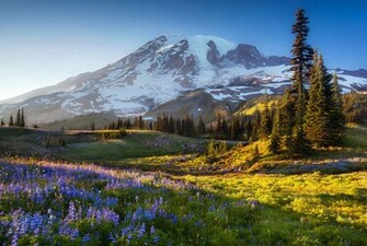 Mount Rainier Wallpaper