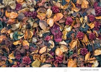 Potpourri Stock Photo I1651306 At Featurepics