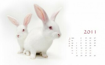 White Rabbit Wallpaper Desktop Background