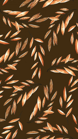 Top Brown iPhone Wallpaper Full HD 4k To Use