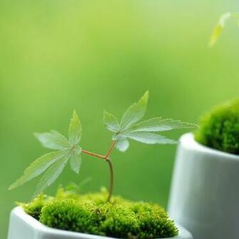 High Definition Background iPad Best Wallpaper