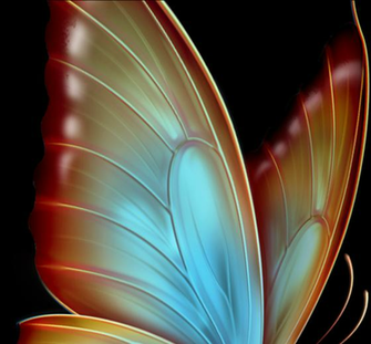 HD Schmetterling Butterflies In Memory Of Sissy