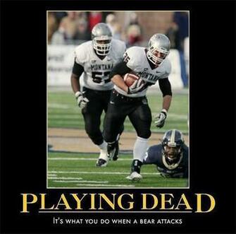 Cat Griz Week Championship Subdivision Football Fcs