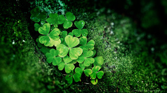 Celtic Irish Wallpaper