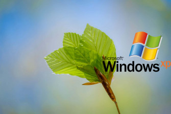 Windows Xp Logo Wallpaper