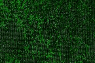 Green Code Wallpaper
